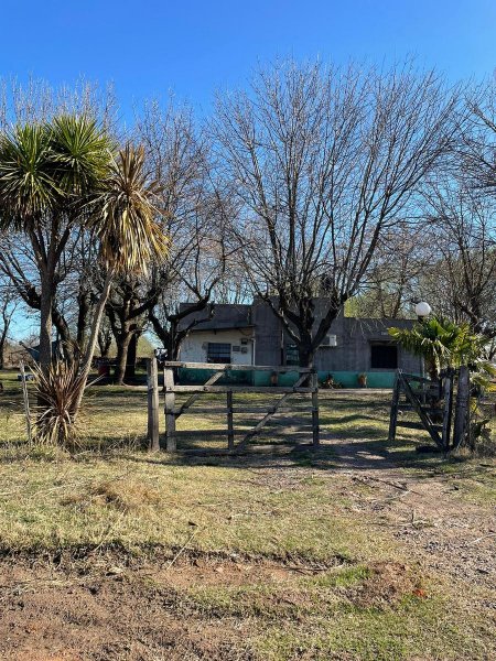Quinta en venta | Chacabuco