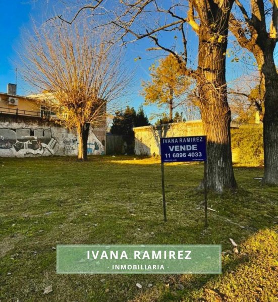 Lote | Francisco Alvarez | Gonzalez Moreno