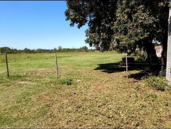 Campo en venta | 4 ambientes | Pergamino