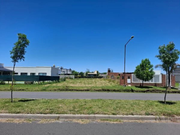 Lote | Funes norte | Funes