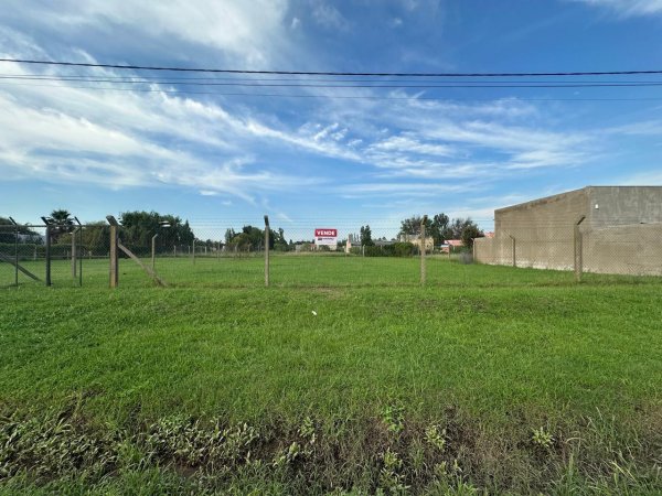 Lote | Chacabuco