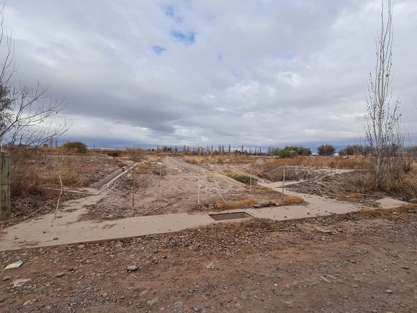 Lote | Cruz De Piedra
