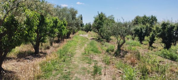 Casa en venta | Rodeo Del Medio | Maipu