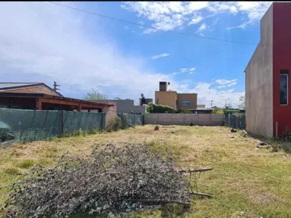 Lote | Tierra de sue&ntilde;os 3 | Roldan