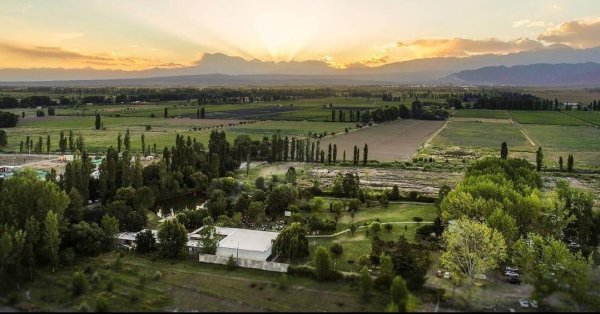 Local en venta | Perdriel | Lujan De Cuyo