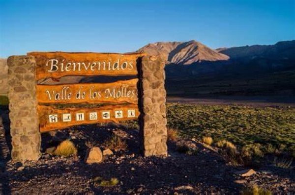Lote | Mendoza
