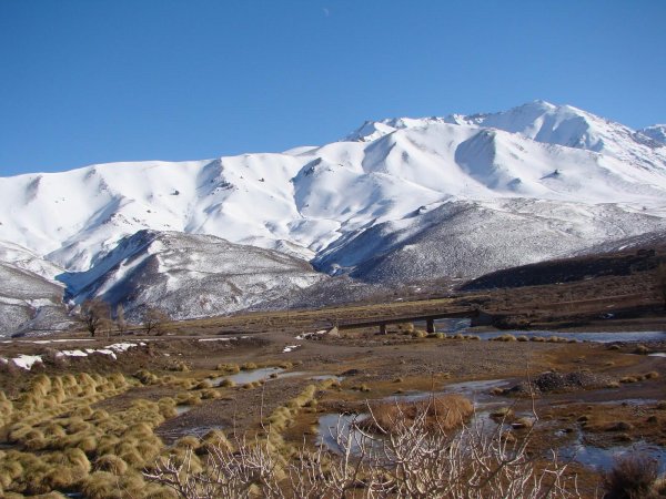 Lote | Los Molles