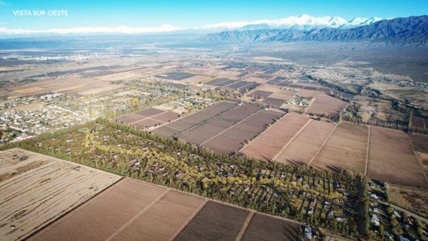 Lote | Vistalba | Lujan De Cuyo