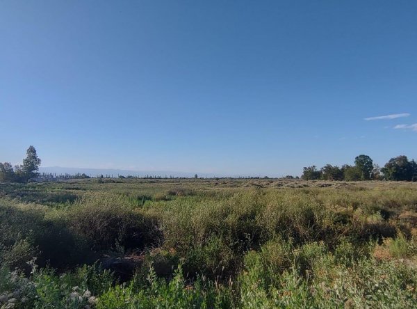 Lote | San Martin ,est.lib.grl.san Martin