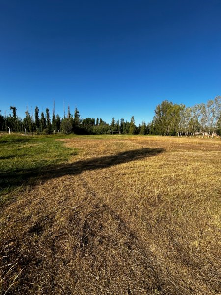 Lote | Coquimbito