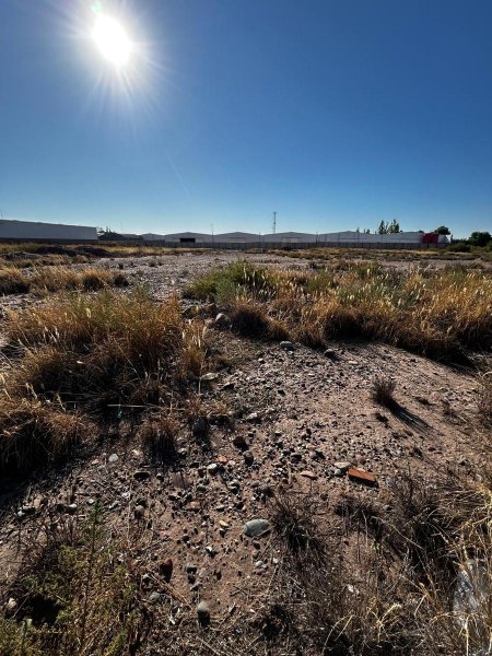 Lote | Coquimbito
