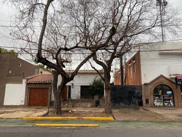 Lote | Mendoza