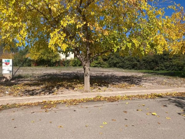 Lote | Lujan De Cuyo