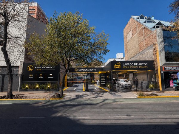 Lote | Mendoza