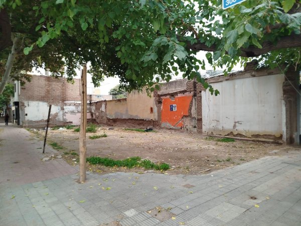 Lote | Mendoza