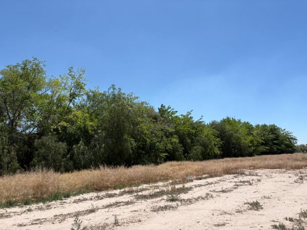 Lote | Luzuriaga