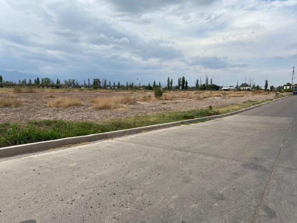 Lote | Luzuriaga