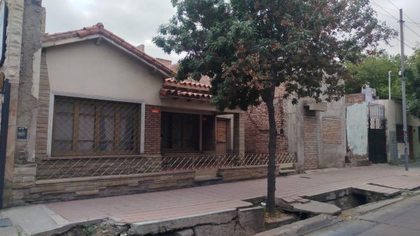 Lote | Mendoza