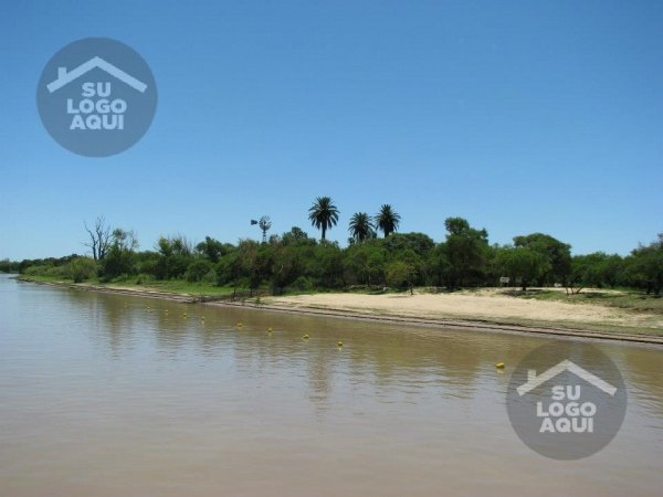 Lote | Charig&uuml;&eacute; | Victoria
