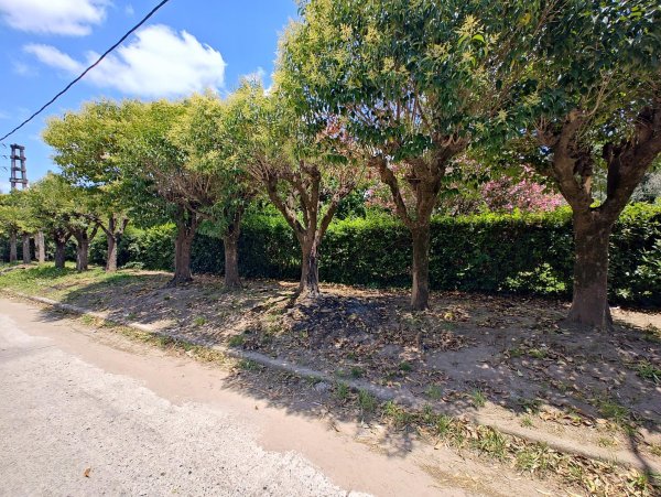 Quinta en venta | 3 ambientes | Virrey Del Pino