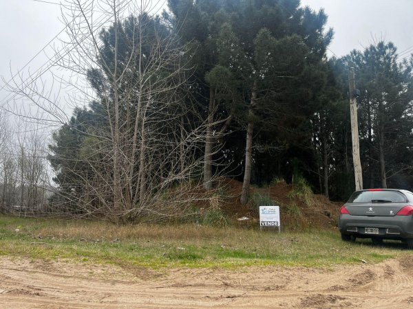 Lote | San Bernardo