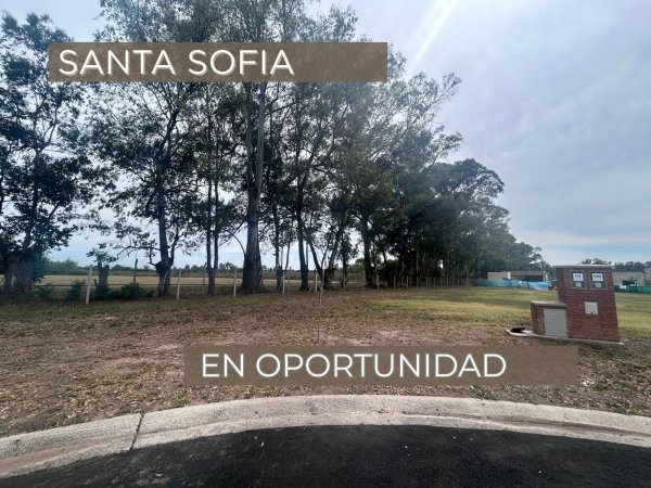 Lote | Santa Sof&iacute;a | Pilar