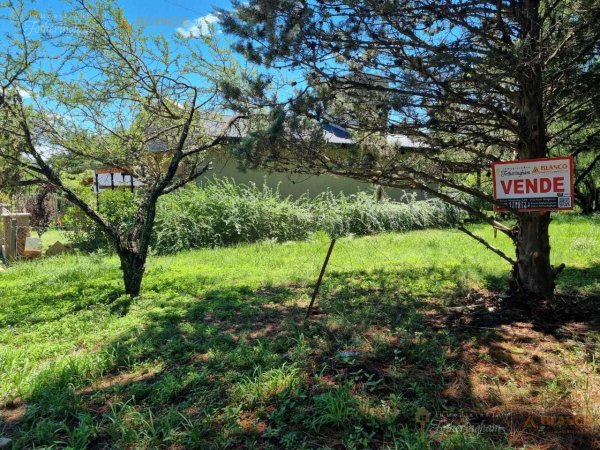 Lote | Los Reartes