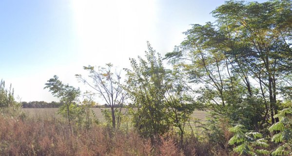Campo en venta | Perez