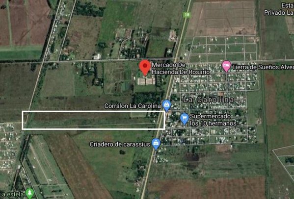 Lote | Pi&ntilde;ero | Rosario