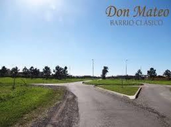 Lote | Don Mateo | Funes