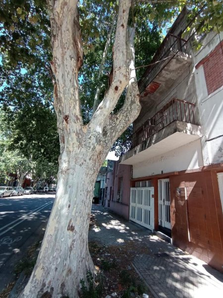 Casa en venta | 15 ambientes | Arroyito | Rosario