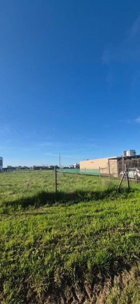 Lote | Funes