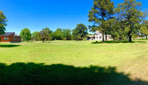 Lote | Campo Timbo | Oliveros