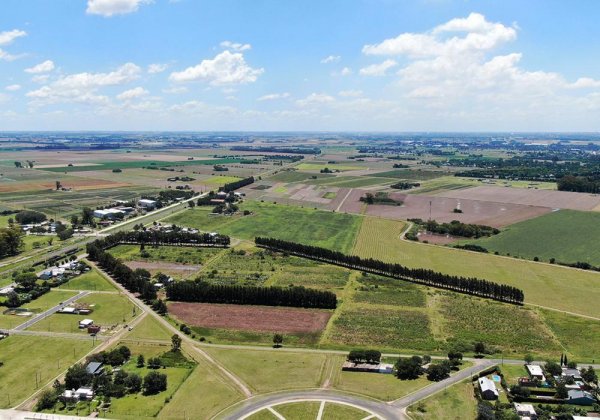 Lote | General Lagos