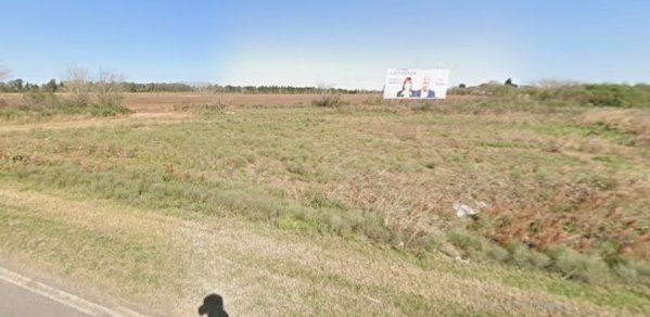 Campo en venta | Alvear - Rosario