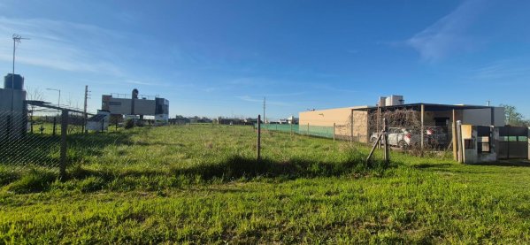 Lote | Funes