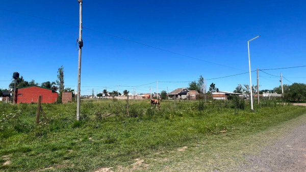 Lote | Andino