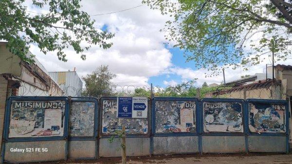 Lote | Mendoza