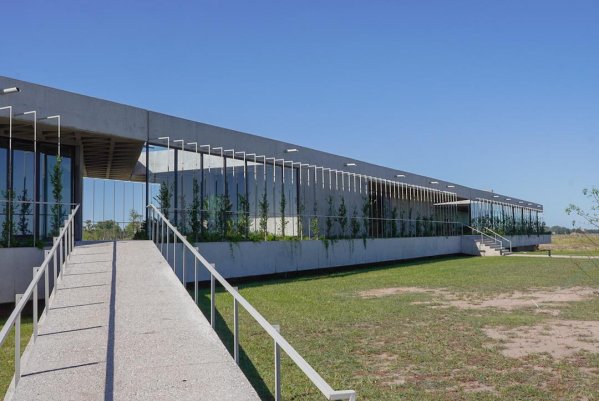 Lote | Funes
