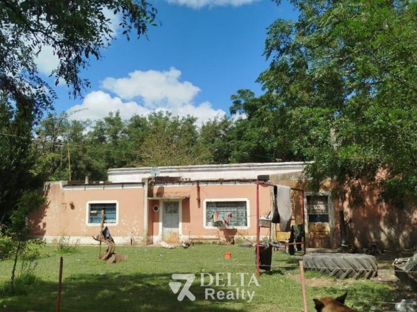 Campo en venta | Alegre