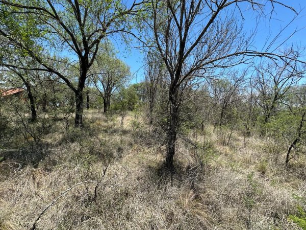 Lote | Casa Grande