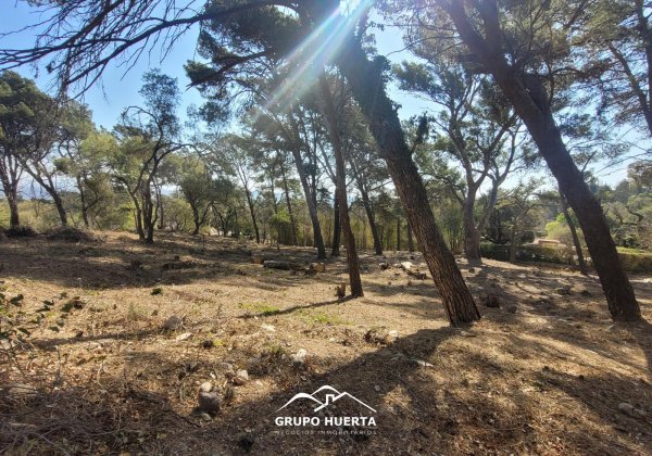 Lote | La Falda