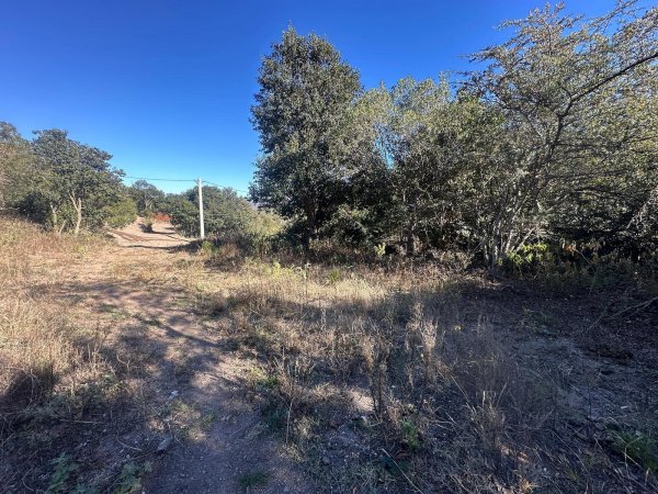 Lote | Huerta Grande