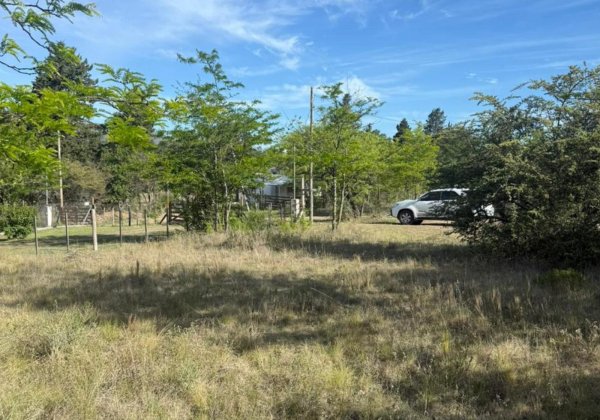 Lote | Villa Giardino