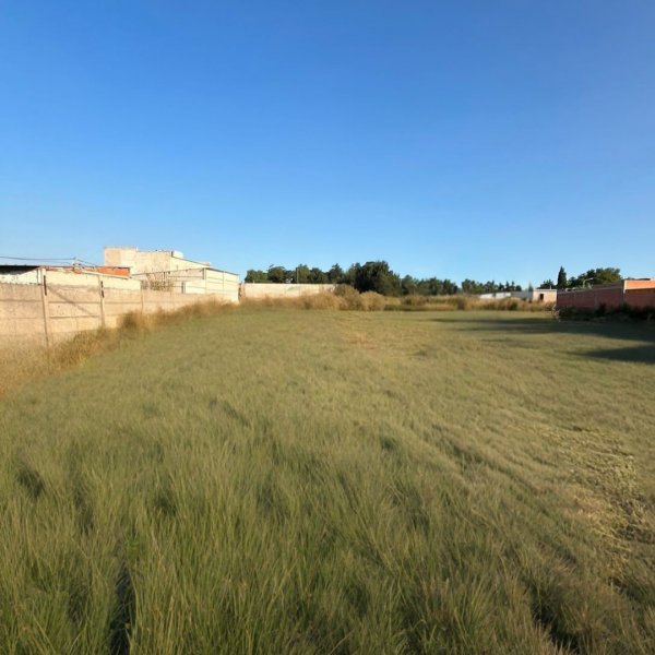 Lote | Cuarteles | Tandil