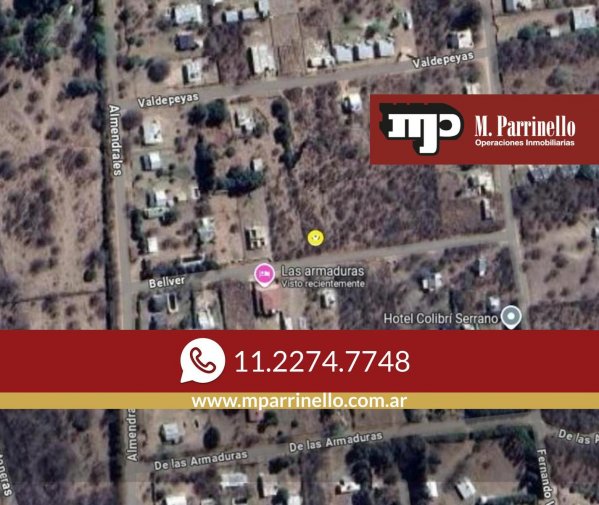 Lote | Molinari
