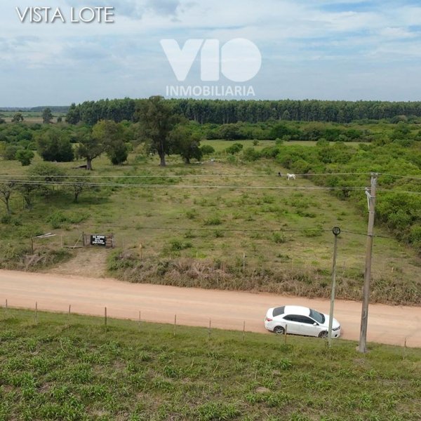 Lote | Ejido Colon | Colon