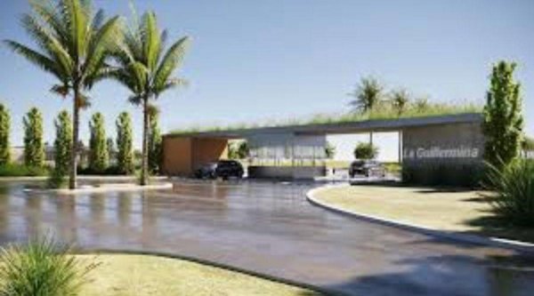 Lote | Funes