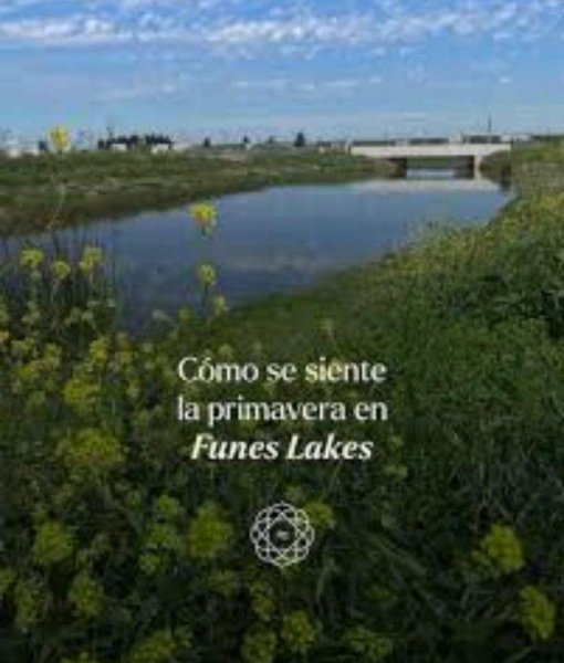 Lote | Aguadas | Funes