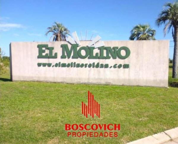 Lote | El Molino Rold&aacute;n | Roldan